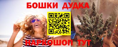 прущая мука Кингисепп