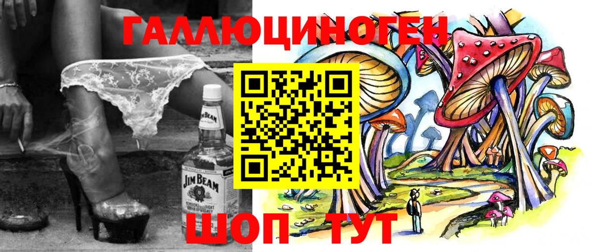 Псилоцибиновые грибы Cubensis Ковров