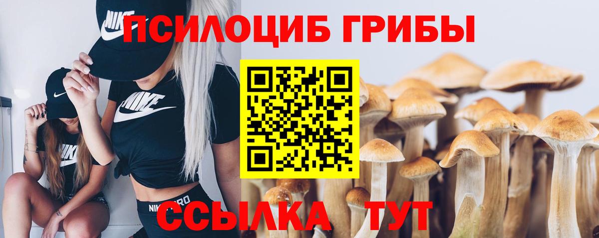 Галлюциногенные грибы прущие грибы  Вход с VPN  Ковров 